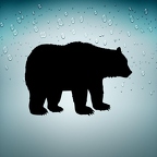r3020 ours noir B