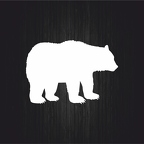 r3021 ours blc B