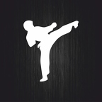 r2927 karate boy blc B