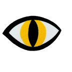 patch D