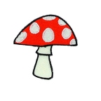 D81  patch mushroom