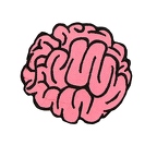 D114  patch brain