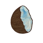 D117  patch coconut