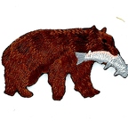 D10 Patch  OURS avec POISSON