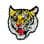 D19 Patch  TIGRE