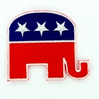 D24 Patch  REPUBLICAIN