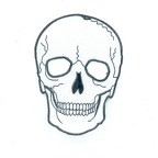 D33 Patch  SKULL WHITE