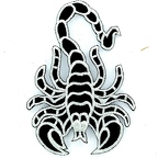 D34 Patch  SCORPION