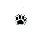D40 Patch  ANIMAL PRINT