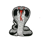 D41 Patch  COBRA