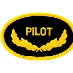 D47 Patch  PILOT