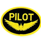 D55 Patch  PILOT AVIATION