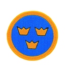 C70 patch airforce suede6565