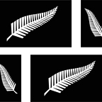 r0527 all blacks