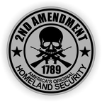 r1197 2nd amendment gris