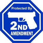 r1199 2nd amendment gun