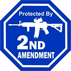 r1201 2nd amendment AR 15