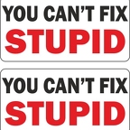r1213 fix stupid