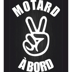 r1366 motard a bord blc T