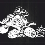 r1372 quad T blc