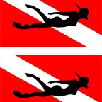 r1376 2x drapeau scuba nageuse