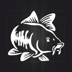 r1377 fish blc