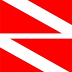 r1299 2x drapeau scuba