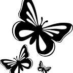 r1304 papillon