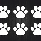 r1343 pate chien chat blc T