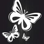 r1344 papillon blc T