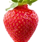 r1528 fraise