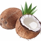 r1535 noix coco T