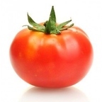 r1536 tomate