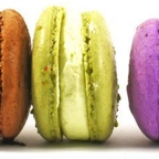 r1539 macaron