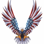 r1543 aigle usa