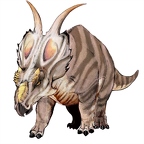 r1571 achelousaurus T