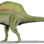 r1572 spinosaurus T