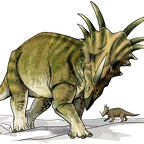 r1573 styracosaurus