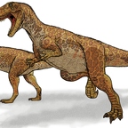 r1575 megalosaurus T