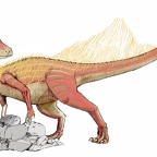 r1576 abrictosaurus T