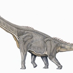r1553 brachiosaure T