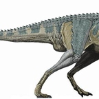 r1555 carnotaure