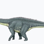 r1557 diplodocus