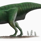 r1558 Dollodon