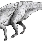 r1563 parsaurolophus