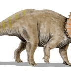 r1566 triceratops