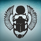 r1629 scarabee noir