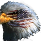 r1664 american eagle