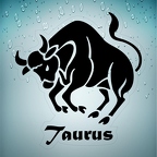 r1704 taurus noir T