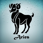 r1703 aries noir T